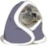 snugwalrus emote