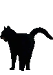 BlackCat1 emote