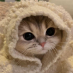 givemeanonion avatar