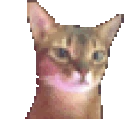 catBop emote