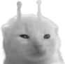 wlorp static emote
