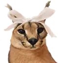 FloppaGirl emoji
