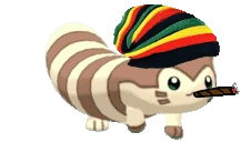FurretHigh emote