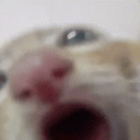 SOSUN
