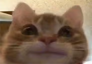 che emote