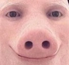 JohnPork