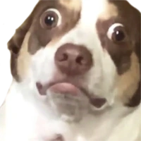 MrBubz emote