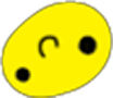 csd_smile_upside_down static emote