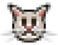 cat emote