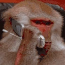 monkeyPhone emote