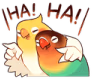 Birbs_Laugh emote
