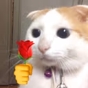 CE_Flower4U emote