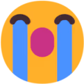 NAHHHH emote