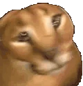 FLOPPA emoji