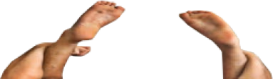 drakewide emote