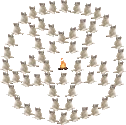 catsittingverycomfortablearoundacampfireinapentagram emoji