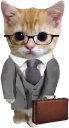 catBusiness emote
