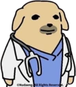 Dogtor emote