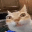 VeryErm emote