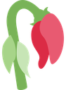 WILTEDROSE static emote