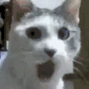 0 emote