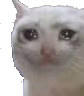 crying_cat emote