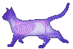 Skelecat emote