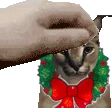 christmas_floppapet emote