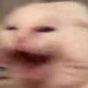 CE_Shake emote