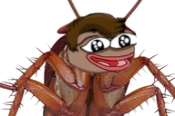 Karaluch emote