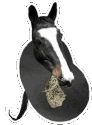horse_bean emote