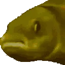 fishJAMJAM emote