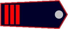 Brandmeister emote