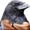 CrowApprove emote