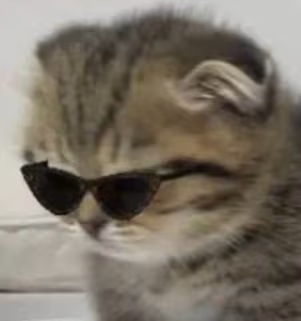 CoolKitten emote