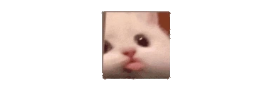 blassemble emote