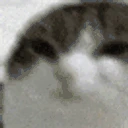 OHTHEMISERY emote
