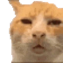 HUHHING emote