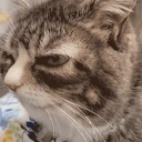 sus emote