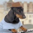 bachiJam emote