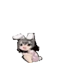 tewiJump emote