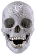 drip emoji