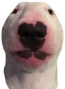 WalterStare emote