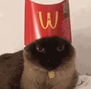 catmcfries emote