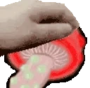 PETTHESHROOM emote
