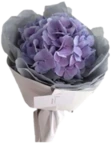 purple_bouquet emote