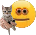 CarTWO emote