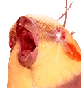 SlavMALD emoji