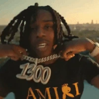 1300BABY emote