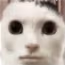 Huh emote